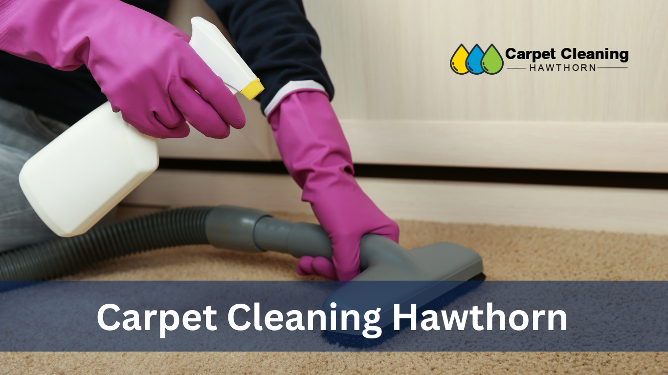 Why You Should Have Your Carpet Cleaned By A Professional