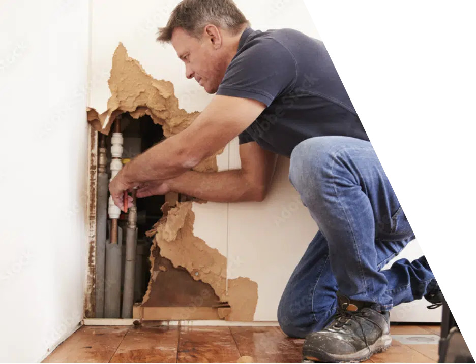 Best Plumbing & Drain Services in Utah
