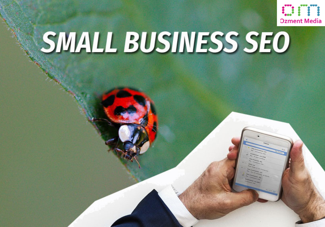 Tips on How to Find the Right SEO Agency for Your Small Business 