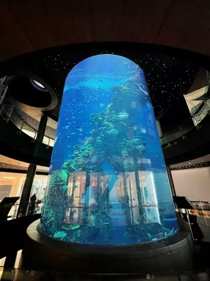 Why Should You Approach Construction Consulting Firm?