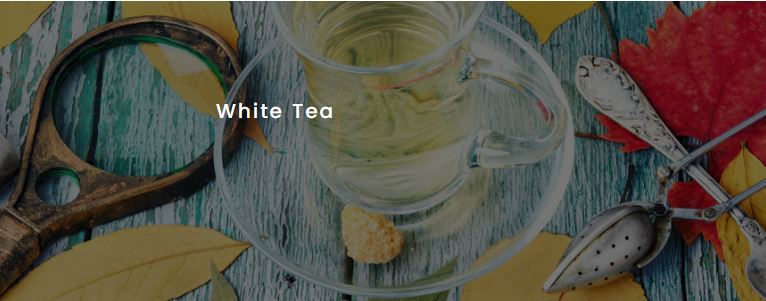 5 Reasons Why You Should Drink White Tea