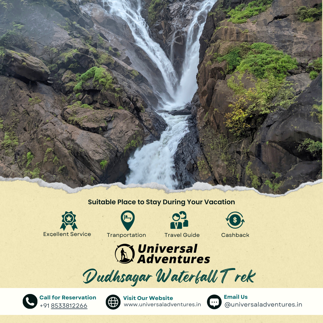 Expectation Vs Reality: My Dudhsagar Trek from Bangalore