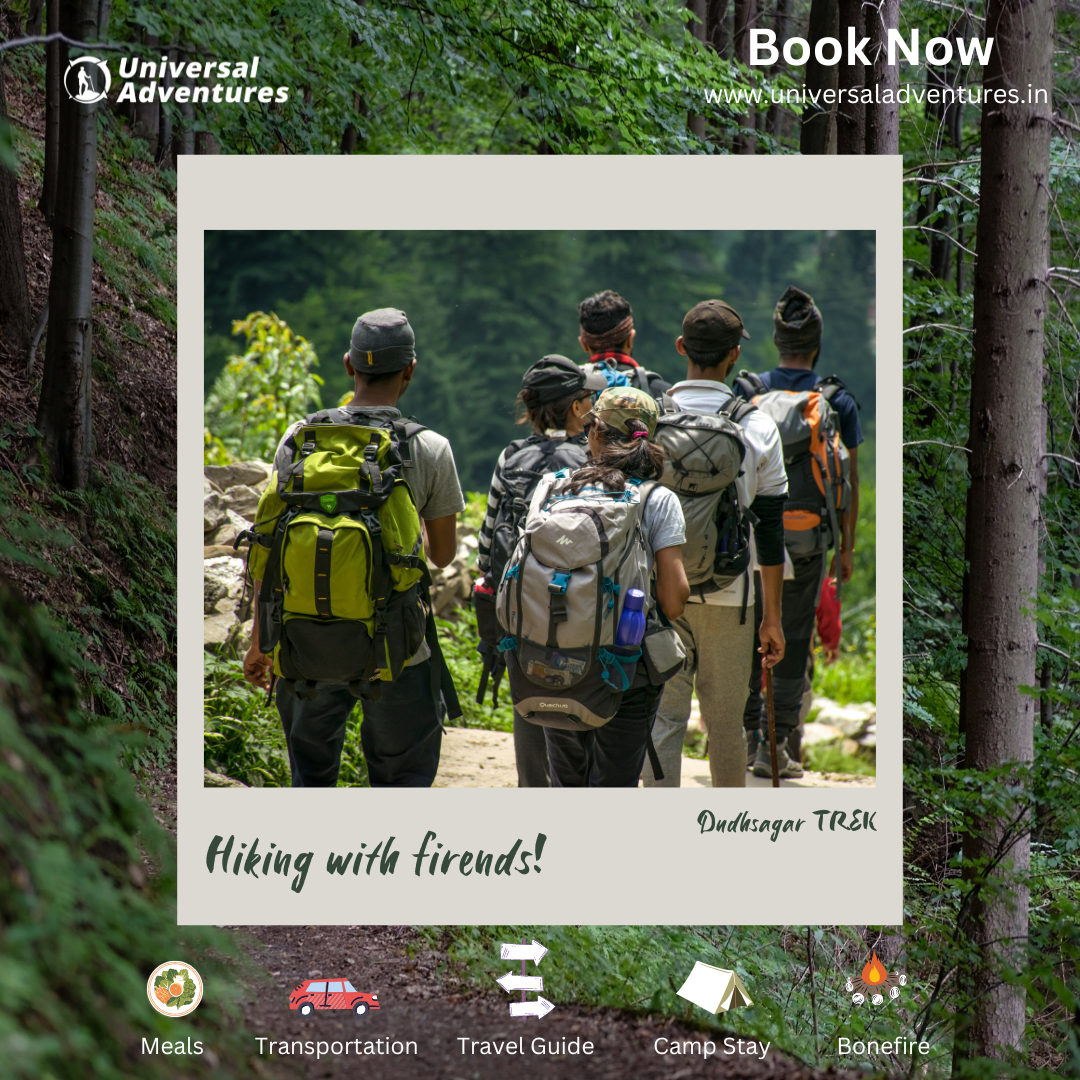 Dudhsagar Waterfall Trek: A Journey Through The Mollem National Park