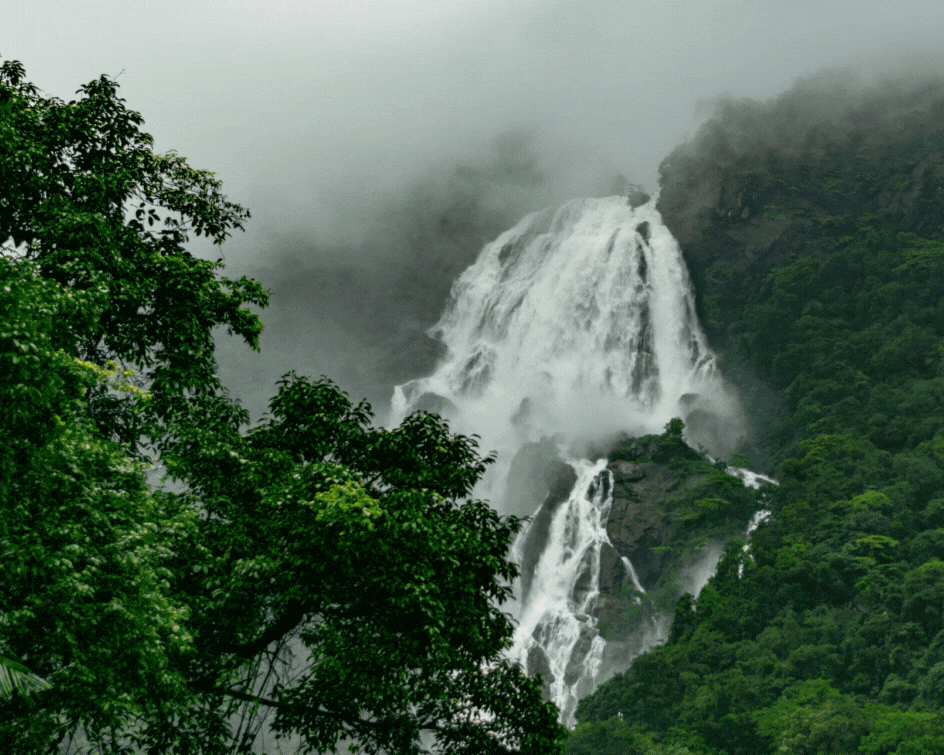 Adventures Activity : When You Visit Dudhsagar Trek