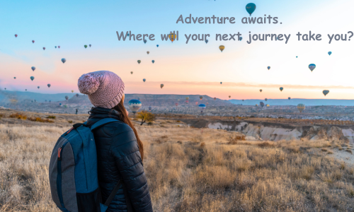 Should You Book Your Trip Through An Online Or Offline Agency?