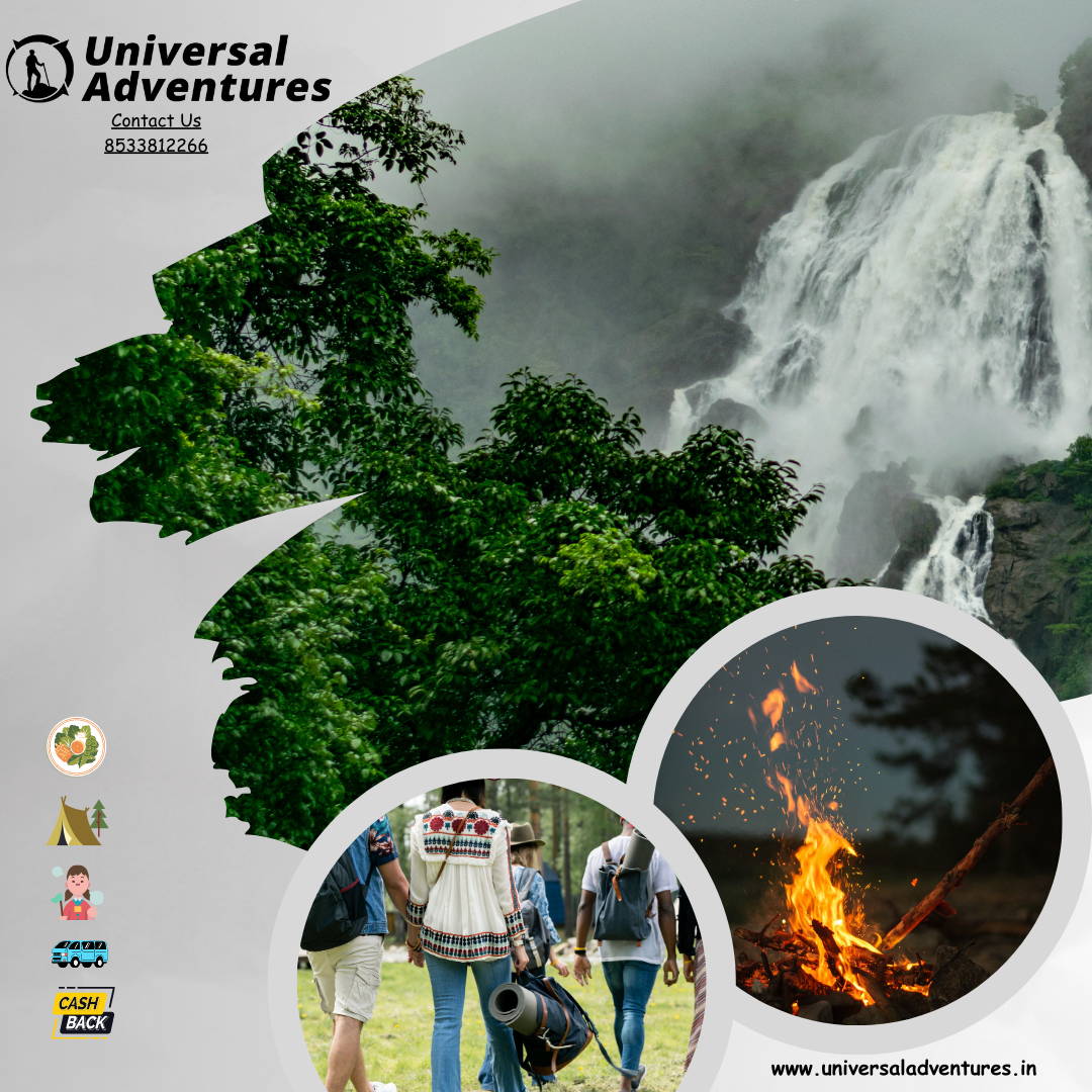 Dudhsagar Trek: A Nature Lover’s Dream Come True in Goa
