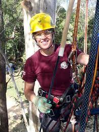 Picking Up Arborist In My Area Quickly With These Tips