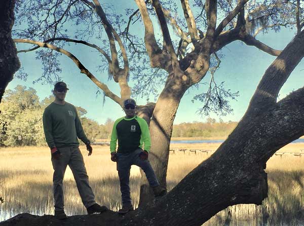 Hire The Tree Removal Service Charleston SC- The Expert Tree Service Company