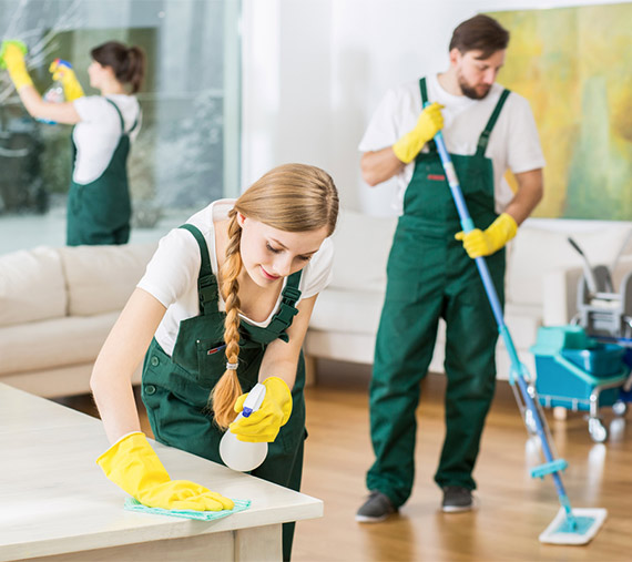 Introducing, Madam Clean!