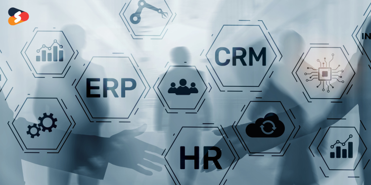 ERP and CRM Development: Detailed Guide 
