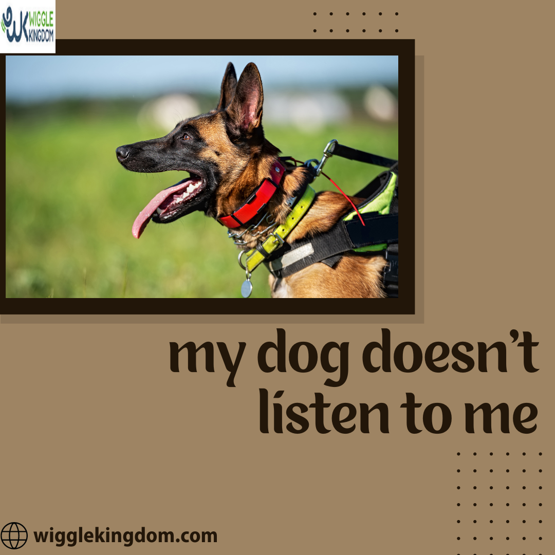 My Dog Doesn't Listen to Me: A Clarification