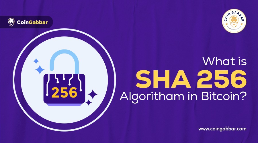What is the SHA-256 Algorithm In Bitcoin? | Understanding the Basics