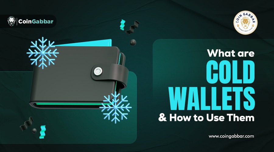 What are Cold Wallets? And How Do They Function?