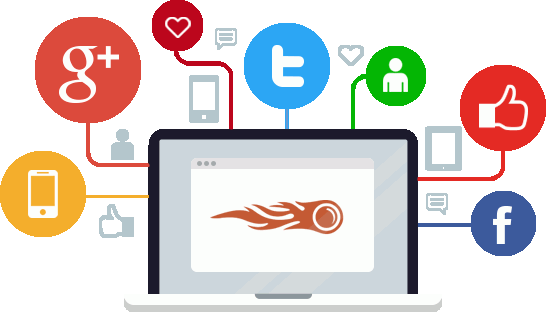 Social Media Management Agency