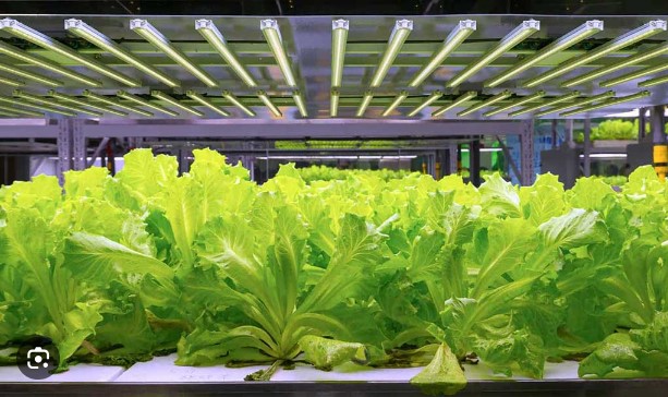 how well do full spectrum led grow lights work?