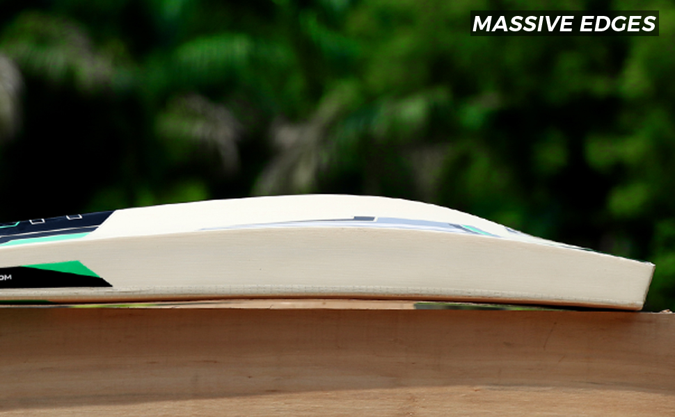 Ideal Blade Size and Toe of Professional Cricket Bat.