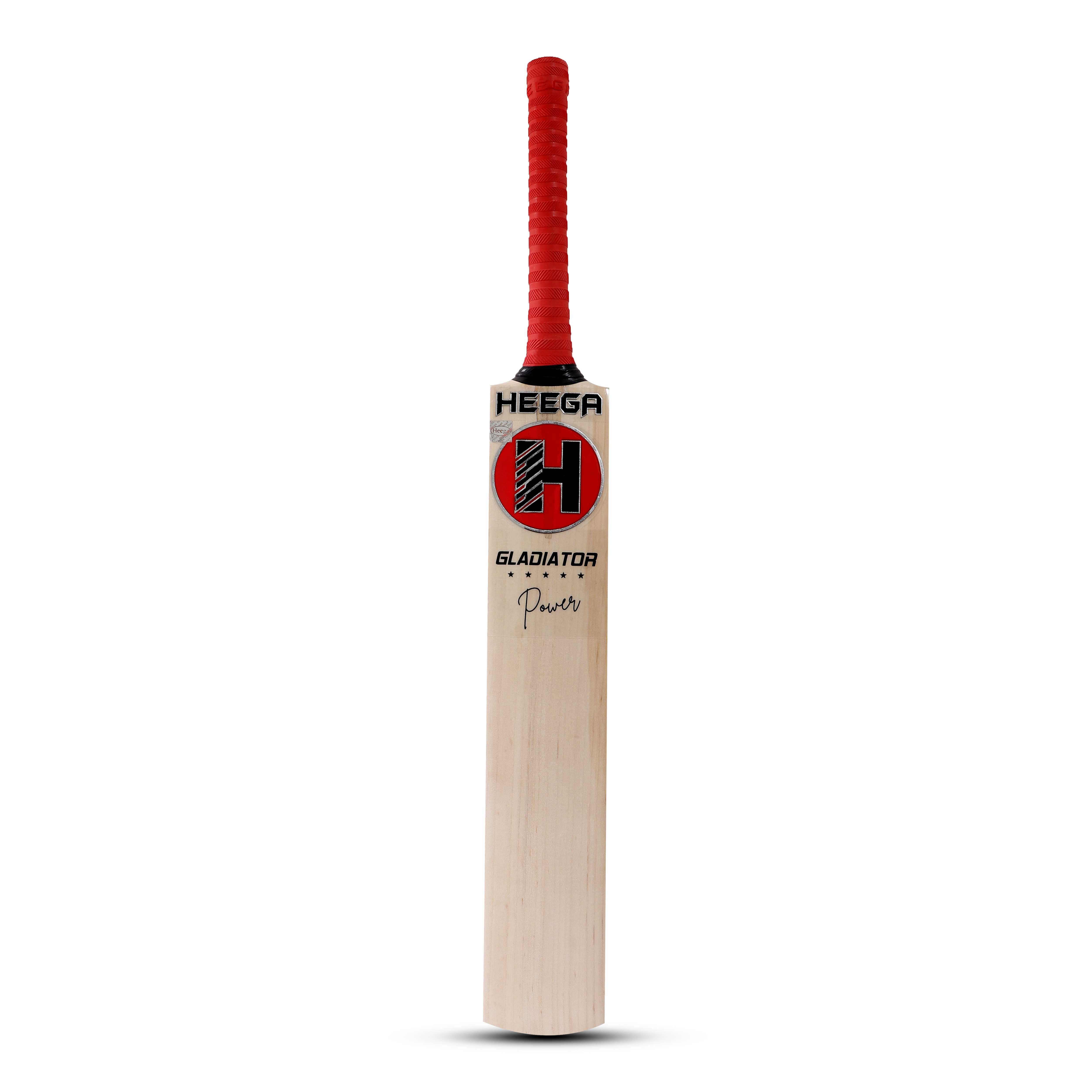How to Choose The Best Kashmir Willow Bat?