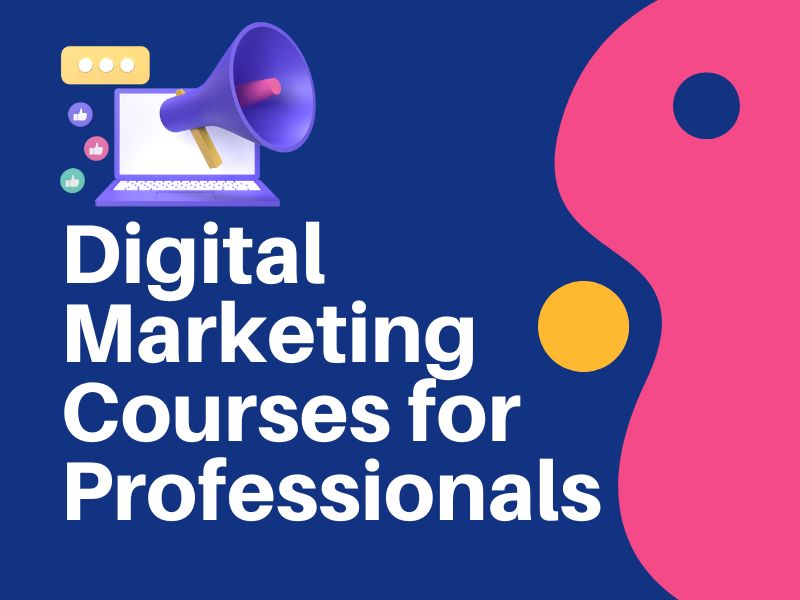 Digital Marketing Courses for Professionals