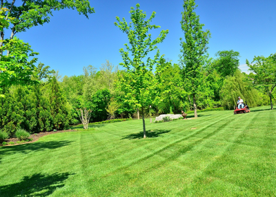 6 Important Tips to Know When Managing a Lawn Care Business