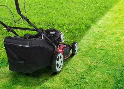 Services to Add in your Lawn Mowing Business