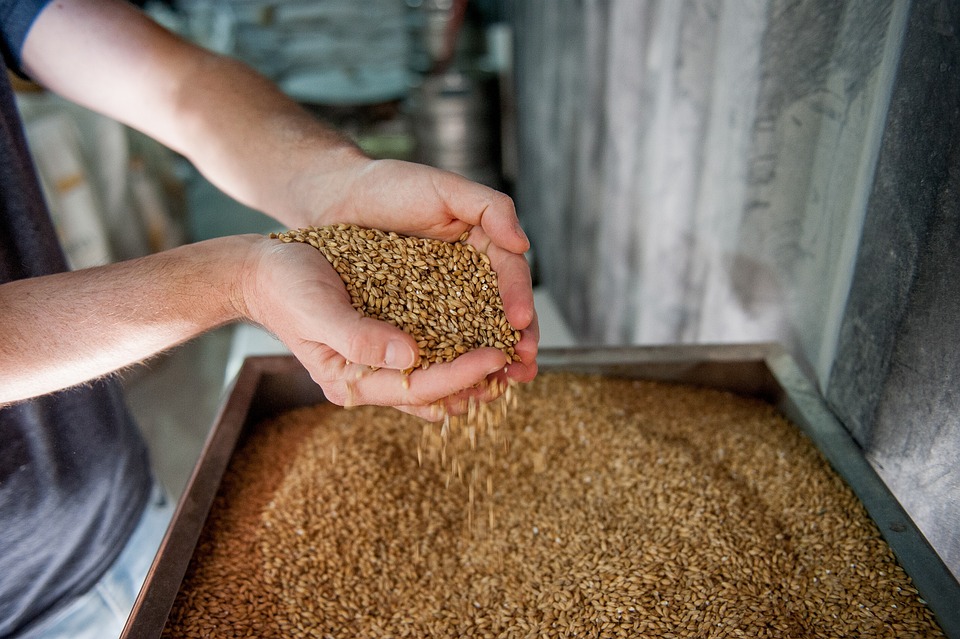 Specialty Malt Global Market 2023 - By Share, Size, Trends, Forecast And Analysis Of Key players 2032