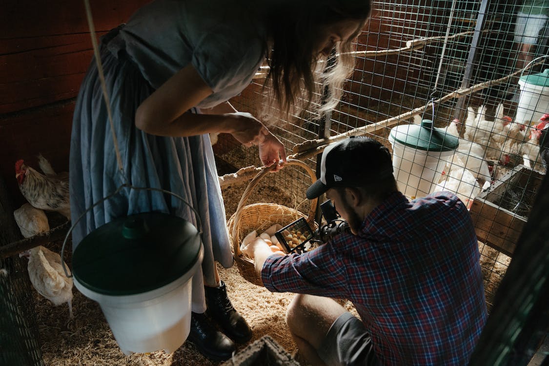 Livestock Grow Lights Market 2023 - Key Players, Industry Demand, Future Trends, Growth Rate And Outlook By 2032