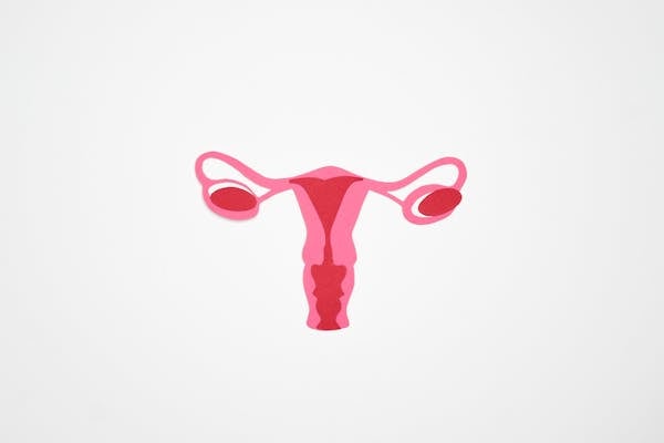 Ovarian Cancer Drugs Market 2024 - By Size, Share, Segments, Application, End-users And Growth Outlook By 2033