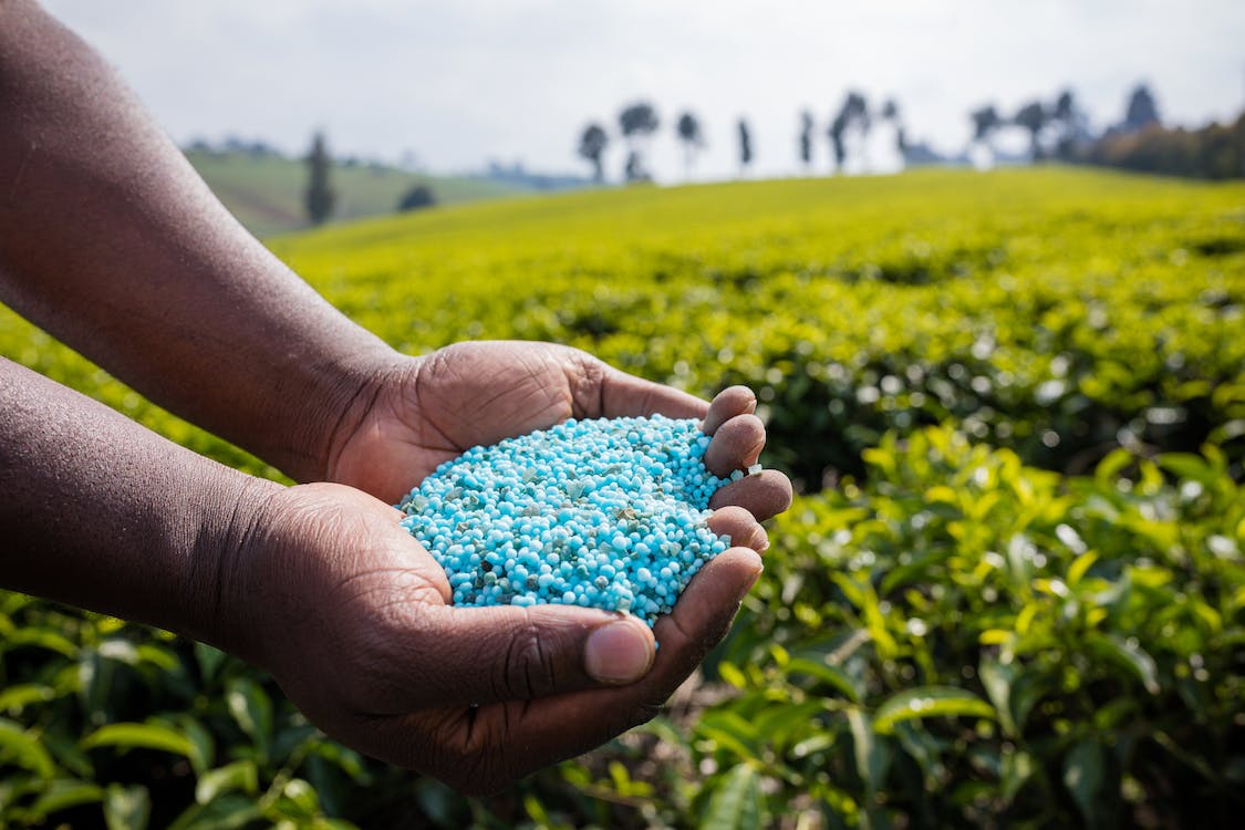 NPK Fertilizers Global Market 2023 : Major Drivers, Analysis, Size, Share, Growth And Forecast To 2032