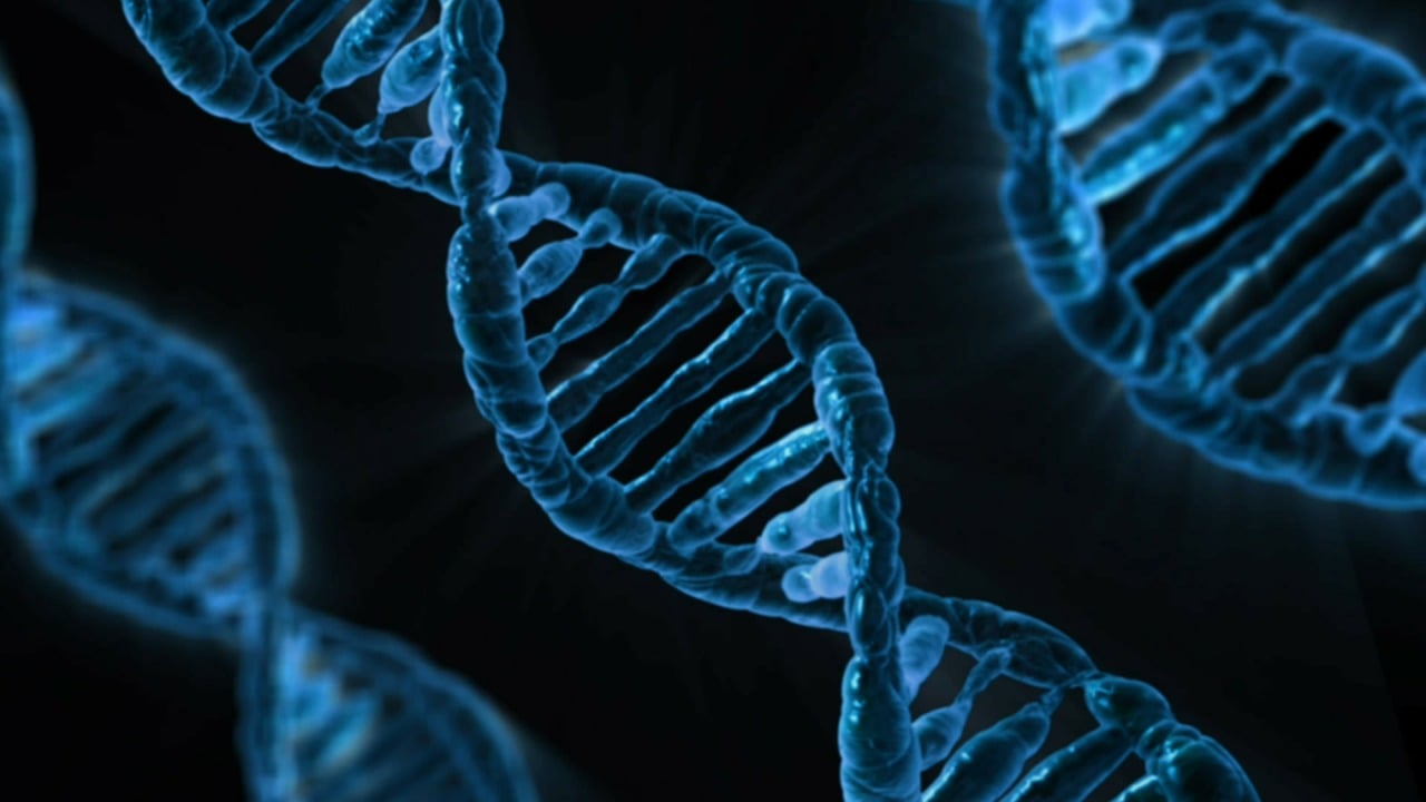 Genomics Market 2024 | Market Overview, Business Opportunities, Industry Share, and Forecast to 2033