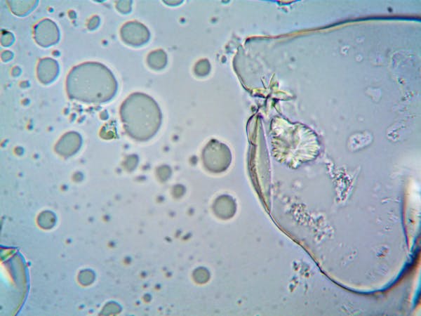 Cell Isolation Global Market 2024 - Industry Trends, Share, Size, Growth, Opportunity And Forecast 2033