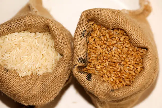 Rice Market - By Size, Regional Trends, Key Players And Forecast To 2033