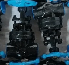 Forged steel gate valve supplier in Dubai