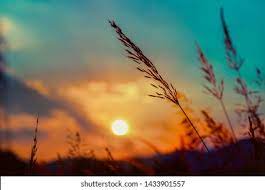 Somewhere at some stage