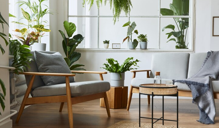 Weather Insights at Its Best: Home Weather Stations