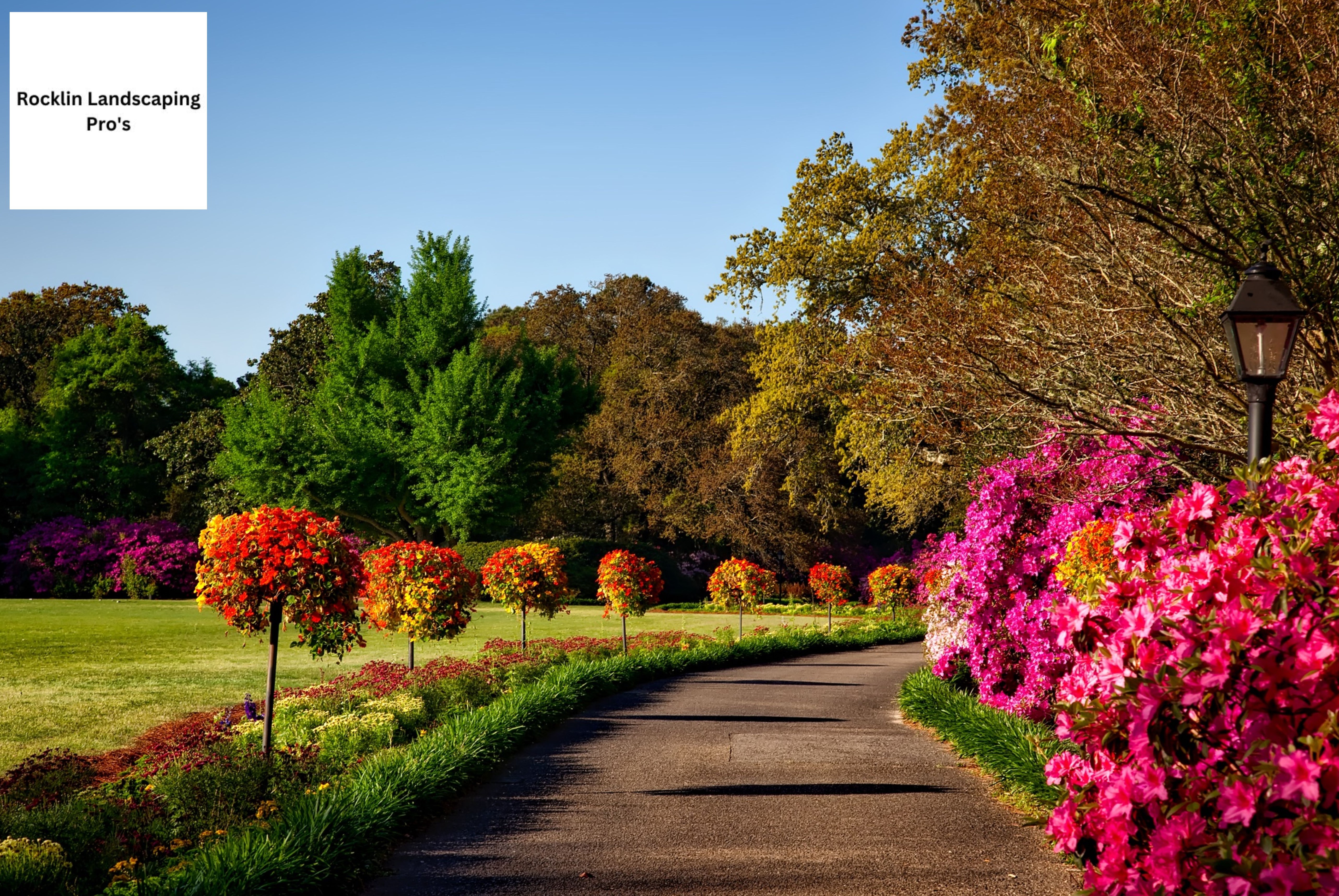 Transform Your Outdoor Space with Landscaping Rocklin