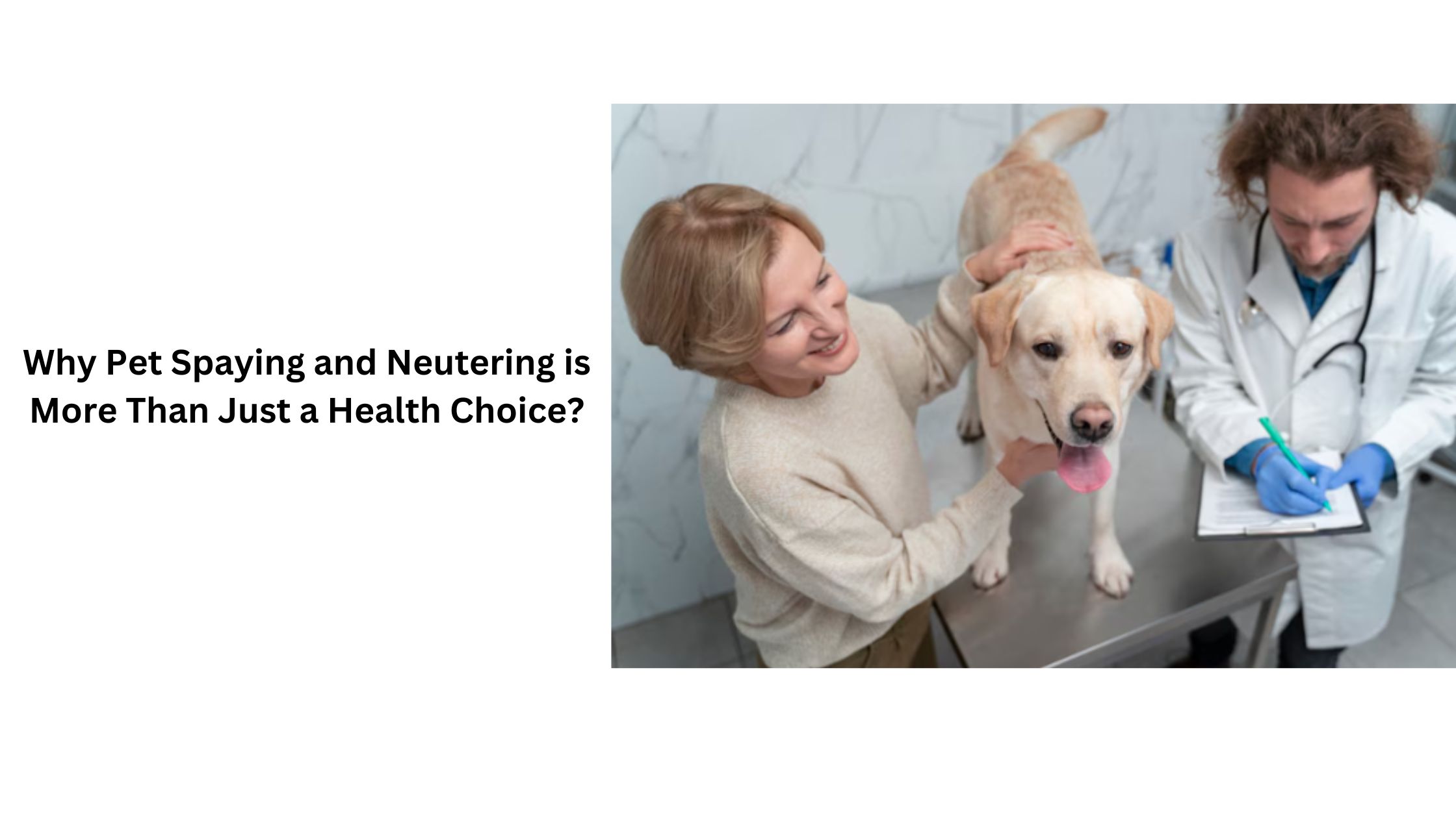 Why Pet Spaying and Neutering is More Than Just a Health Choice?
