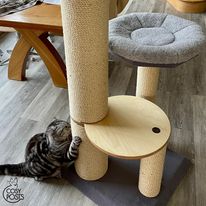 How to Buy Cat Scratching Posts Online?