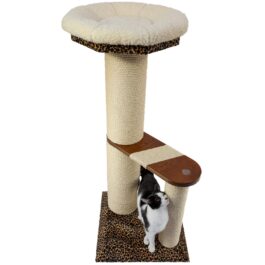 How a safe bed for your cat look like?