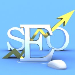 Basic Online Training for Seo