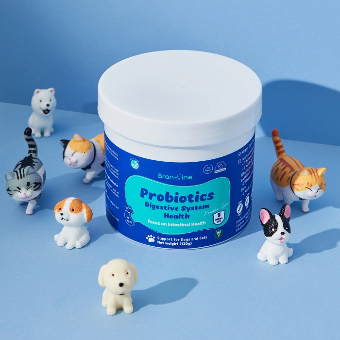 New Study Reveals Best Probiotic Chews For Dogs: Promoting Gut Health and Happy Tails!