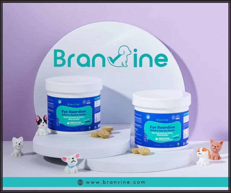 Why Eye Guardian Type B is the Perfect Eye Supplement for Overweight Dogs