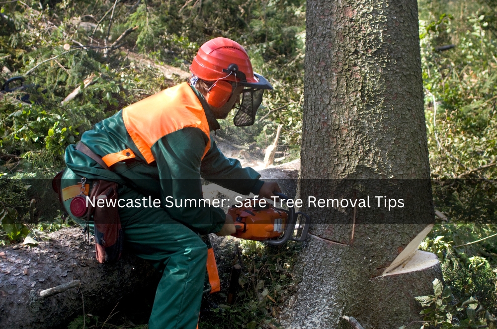 Newcastle Summer: Safe Tree Removal Tips