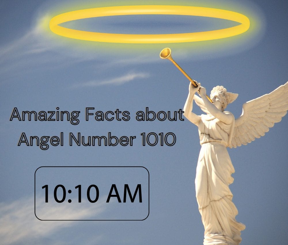 Learn Amazing Facts about 1010 Angel Number