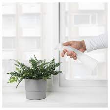 The Versatile Spray Bottle: A Must-Have Tool for Home and Garden
