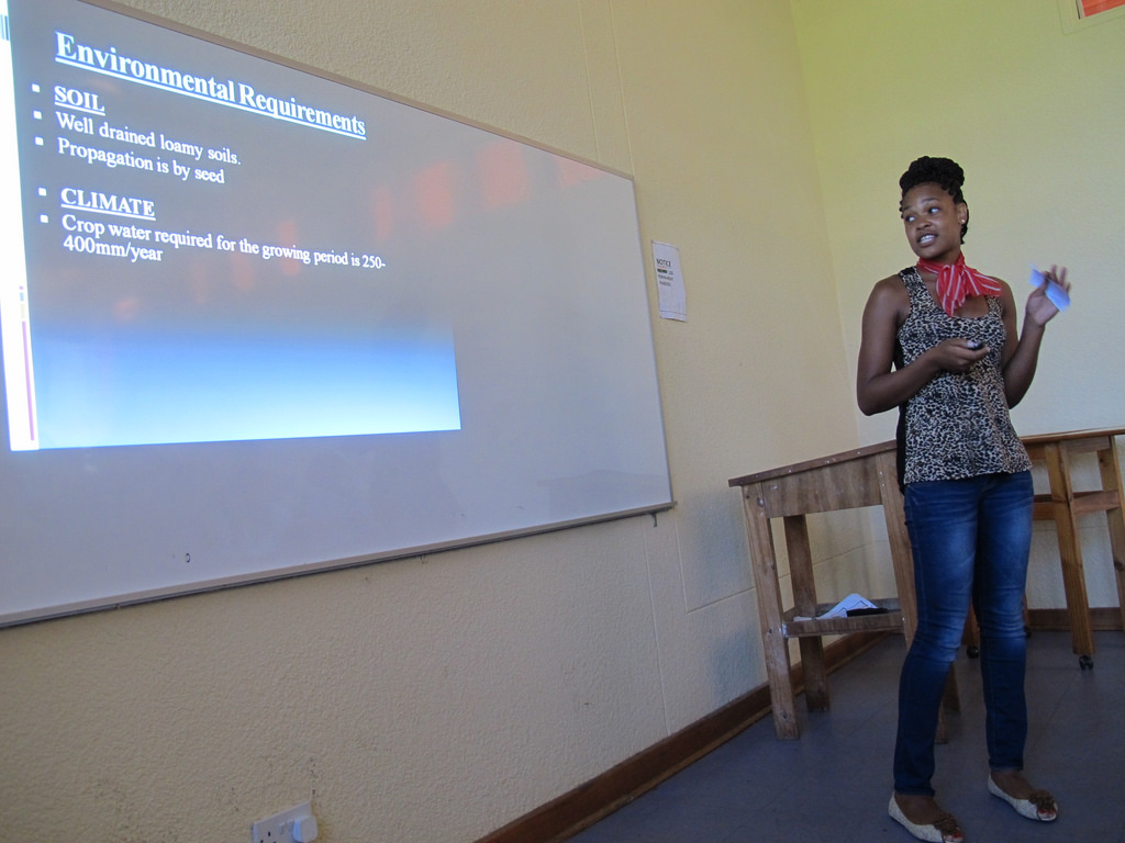 Tips to Give Powerful and Not Just PowerPoint Presentation
