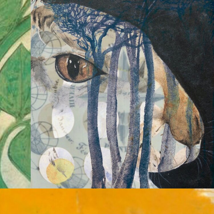 Experienced and Licensed Psychotherapist In San Francisco