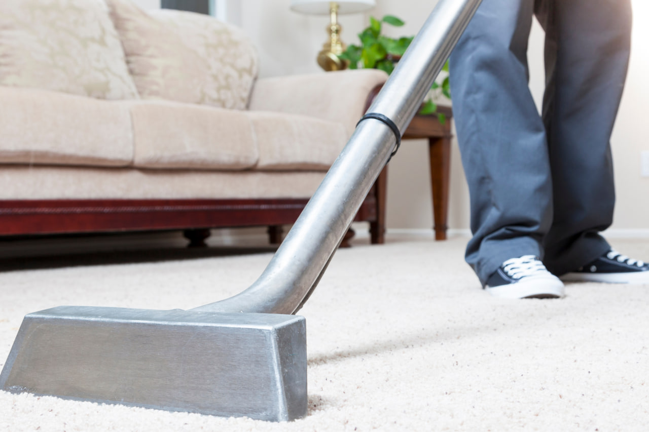 Pet-Friendly Carpet Cleaning Tips for Central Coast