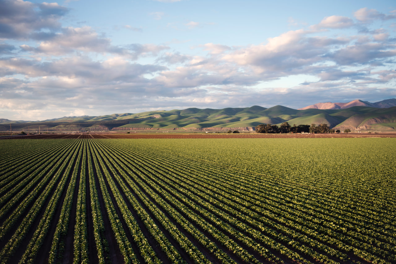 Navigating Agricultural Supply Chain Challenges