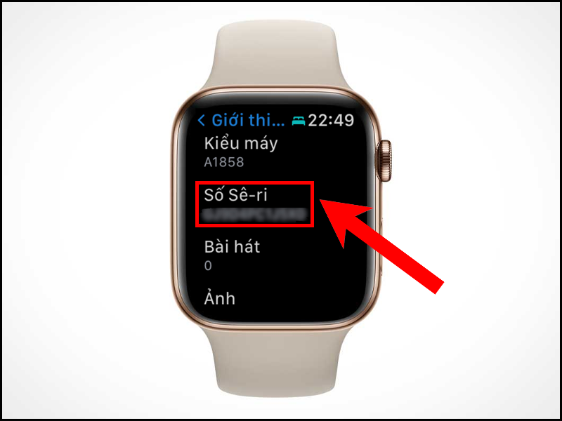 Kiểm trai Imei Apple Watch như thế nào?