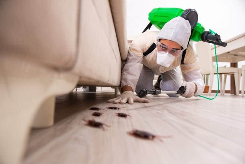Our Services for Commercial Office Cleaning are the Best